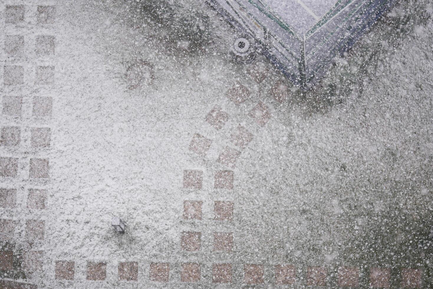 Snowfall covers the ground in a residential area during winter season photo