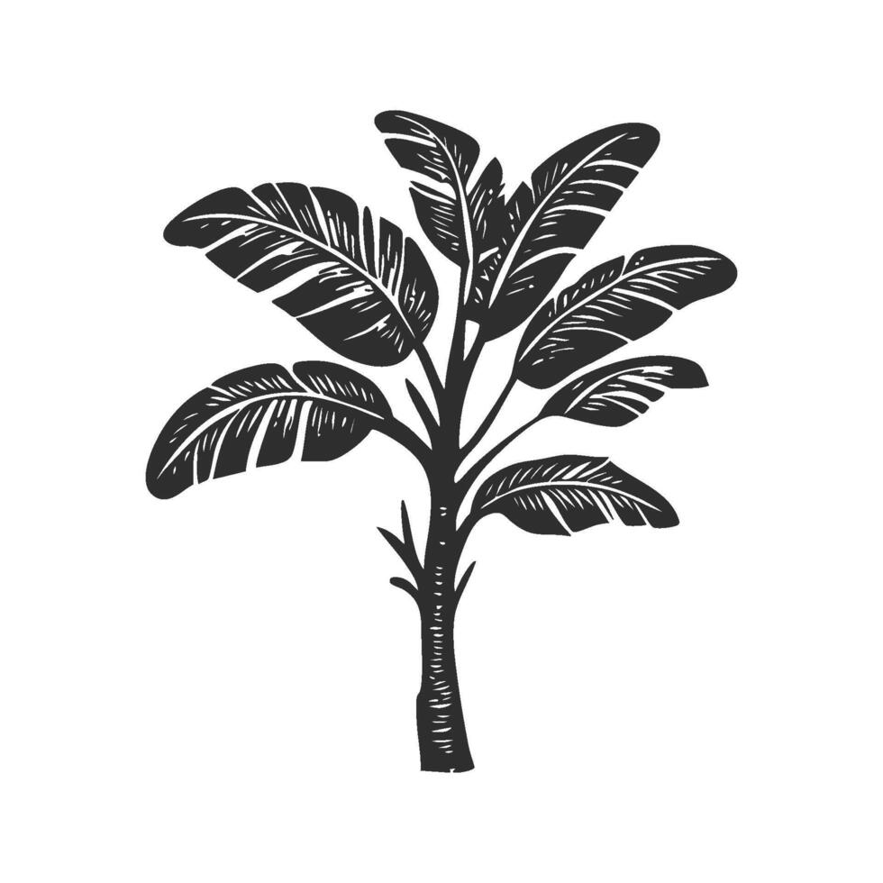 Banana Tree Silhouette Illustration. Tropical Plant Symbolizing Growth And Nature. Isolated Illustration vector