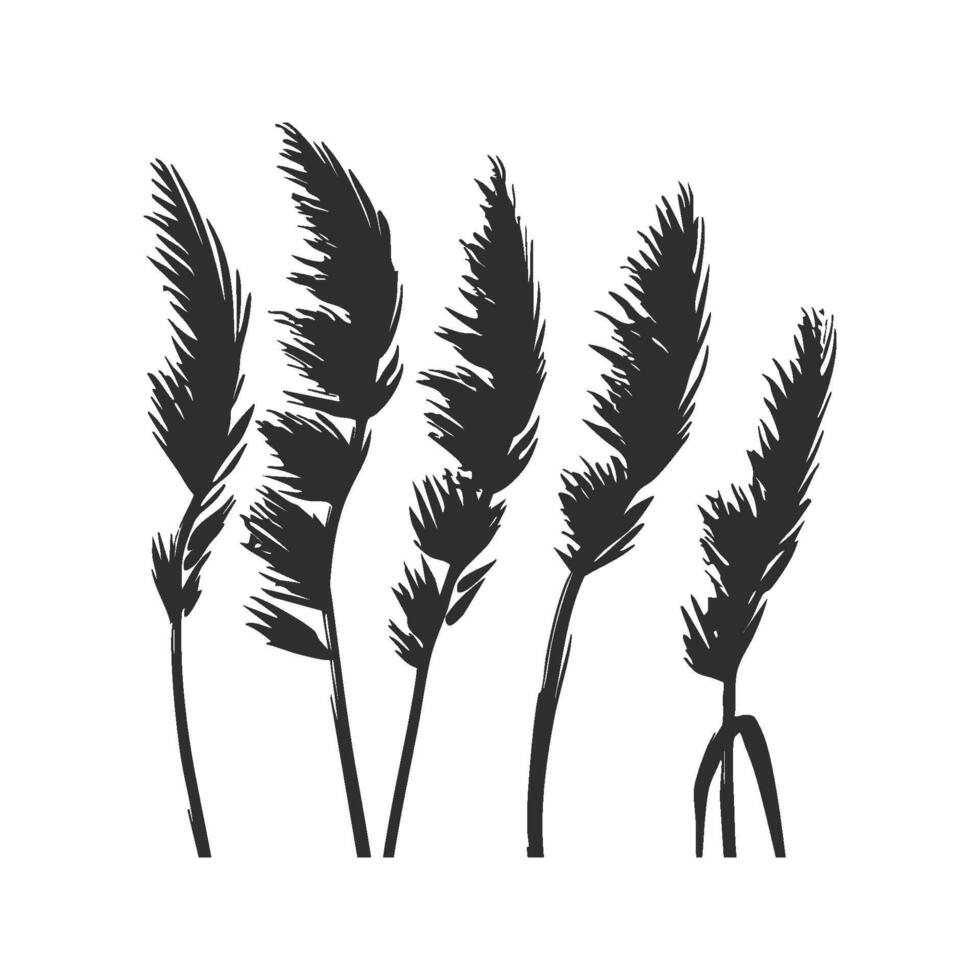 Silhouette Of Wild Grass Stalks Illustration. Nature'S Simplicity And Elegance Isolated Illustration vector