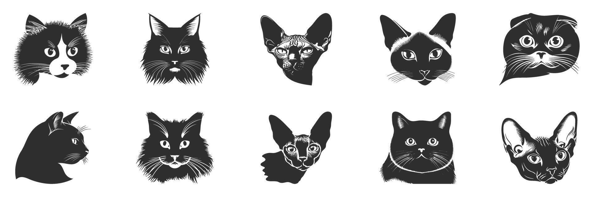 Cat Breed Silhouettes Set. Diverse Feline Faces In Black And White Isolated Illustration Collection vector