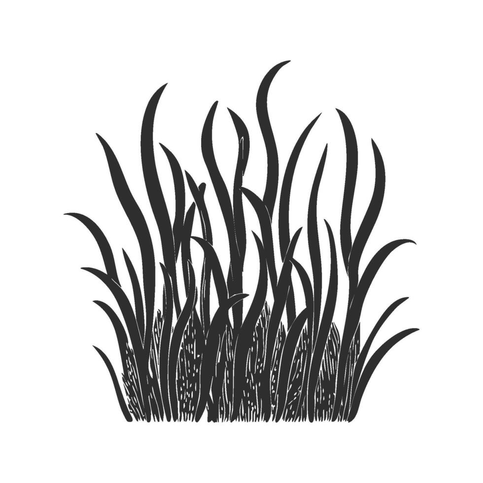 Grass Blades Silhouette Illustration. Nature And Growth Concept Isolated Illustration vector