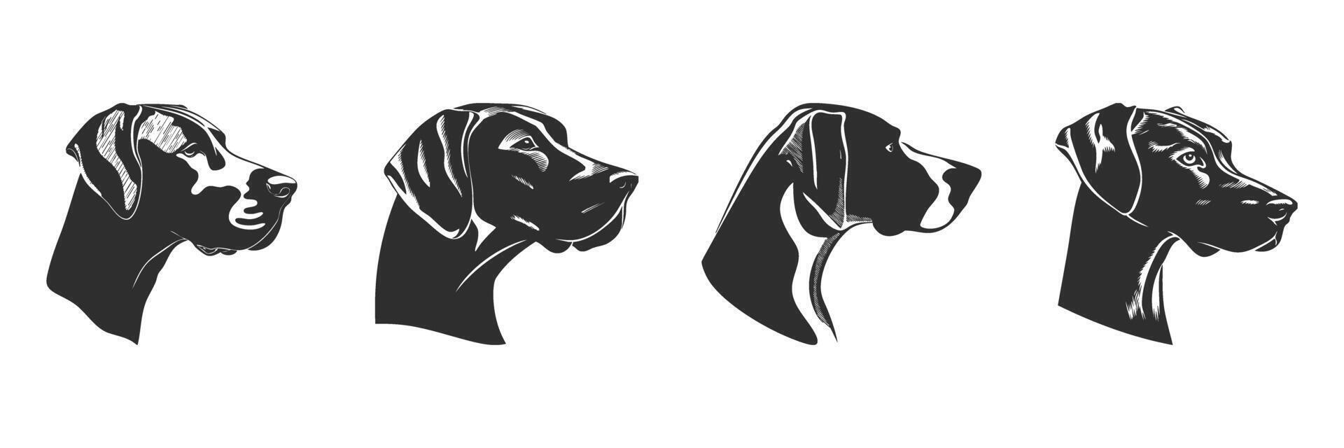 Dog Head Profiles Silhouette Set. Canine Breed Illustrations In Black And White. Isolated Illustration Collection vector