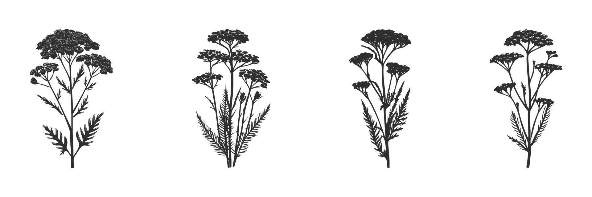 Wildflower Silhouettes Collection. Botanical Art And Nature-Inspired Design Elements Isolated Illustration Set vector