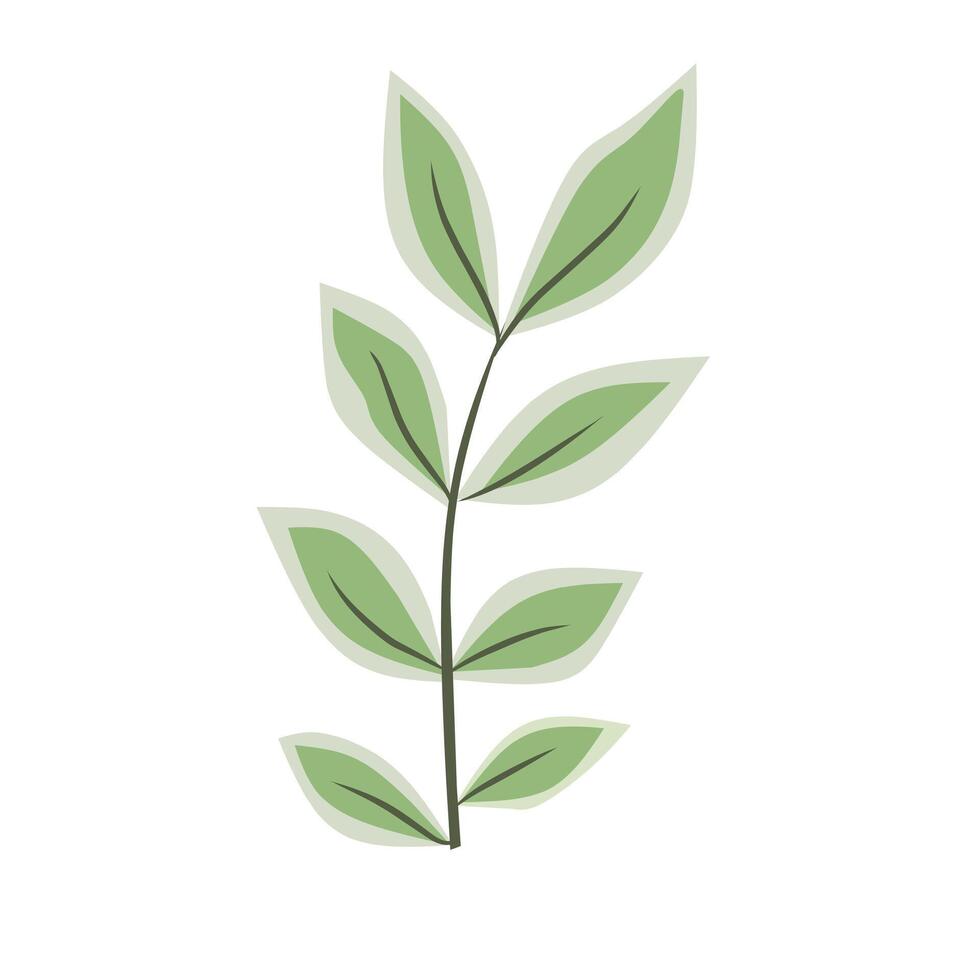 Green leaf cartoon white background illustration vector