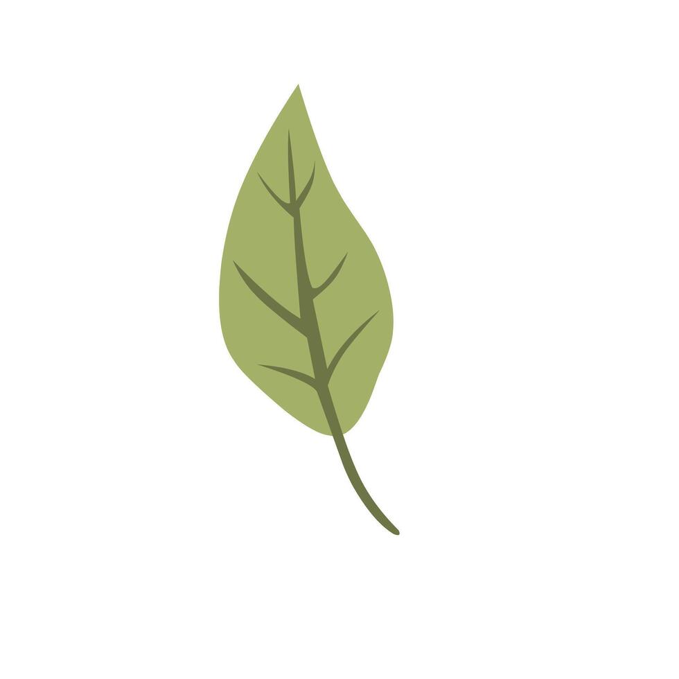 Green leaf cartoon illustration vector