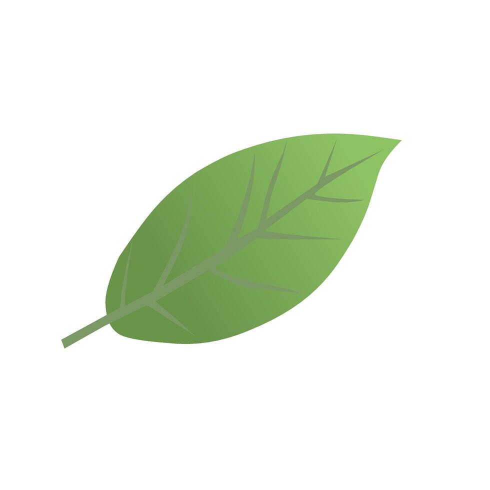 Green leaf cartoon illustration white background vector