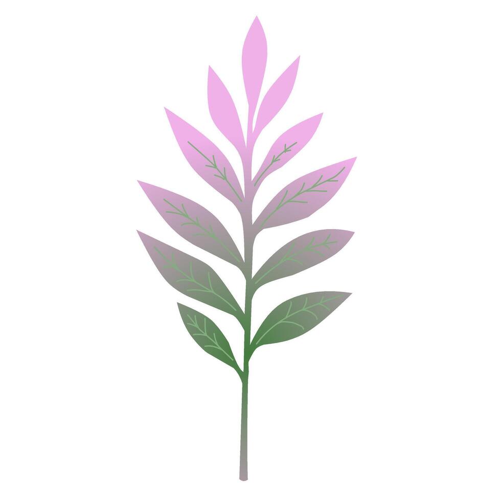 Leaf design element vector