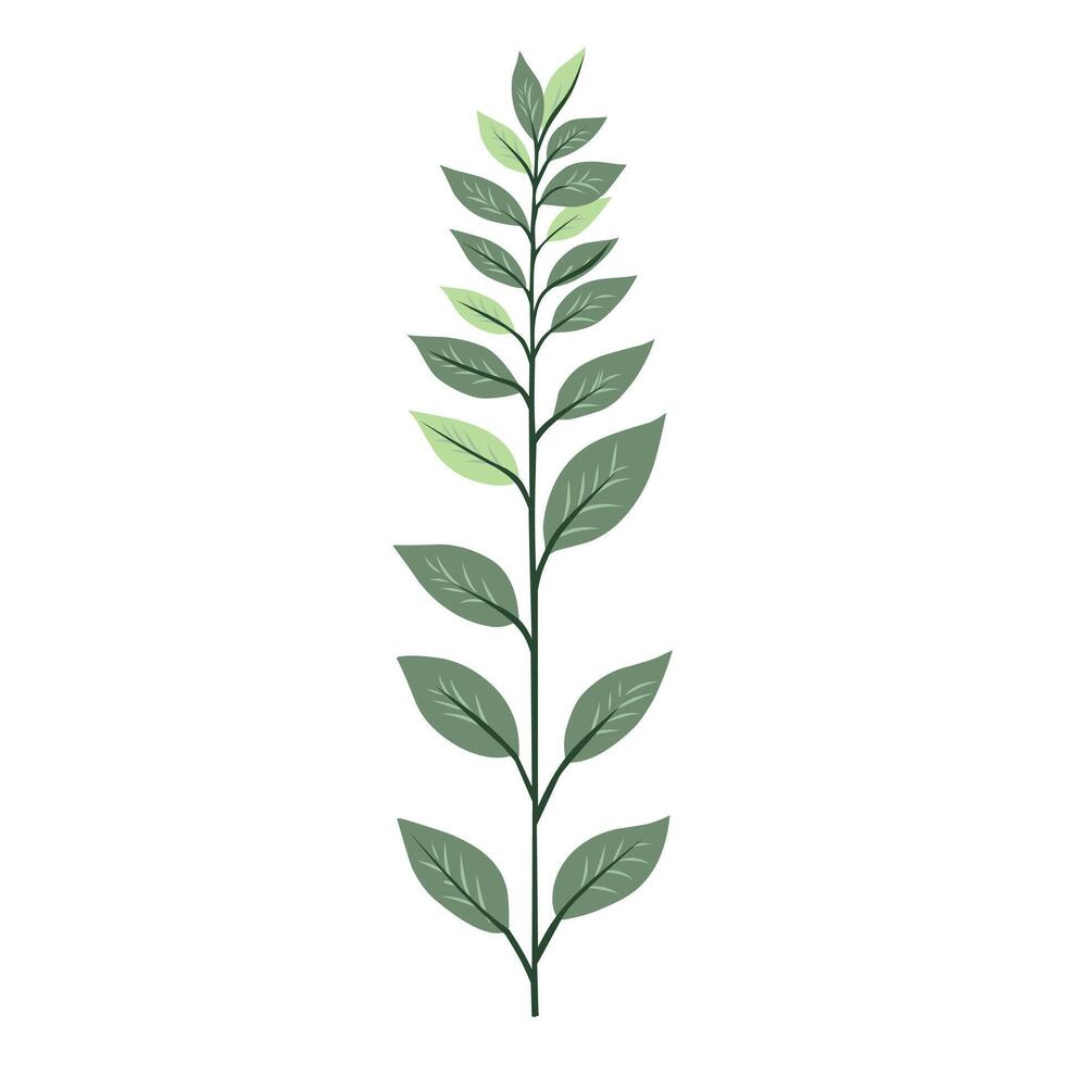 Leaf simple design vector