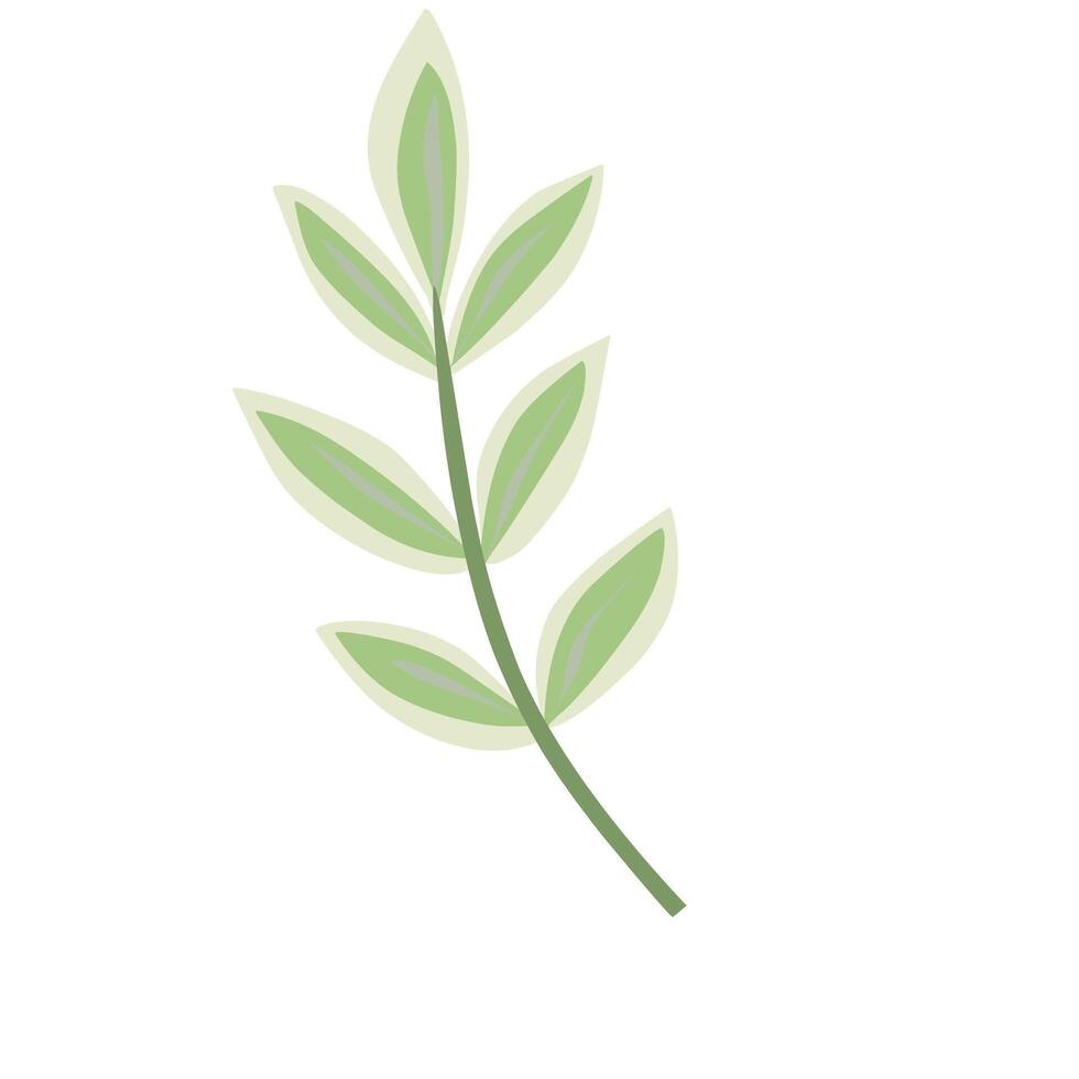 Simple leaf illustration white background vector