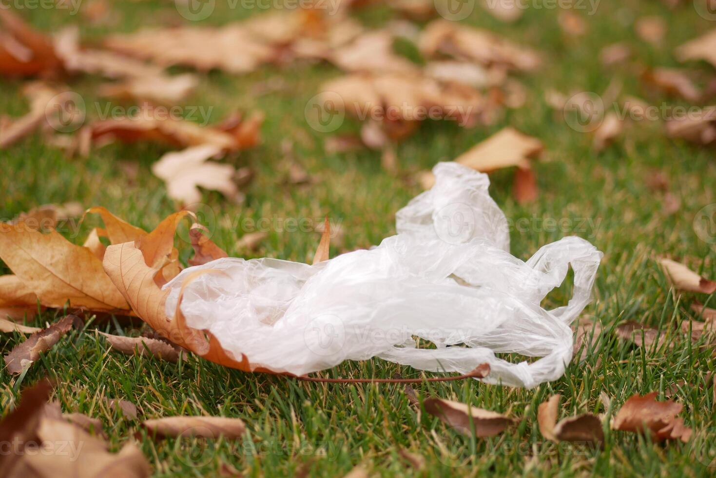 Plastic bag discarded among autumn leaves in a grassy park setting photo