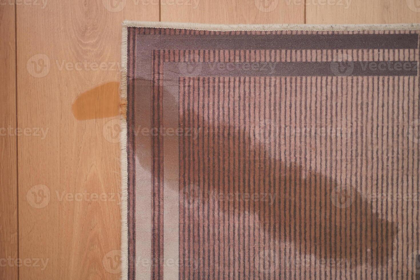 water spilled on a rug in indoor space photo