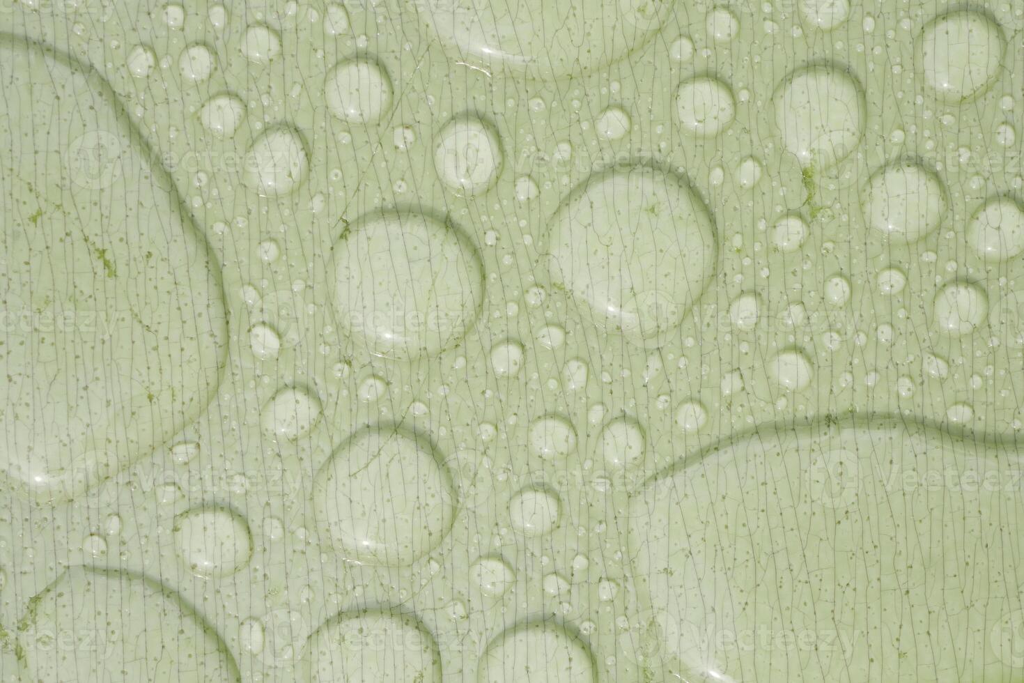 Water droplets form patterns on a smooth green surface photo