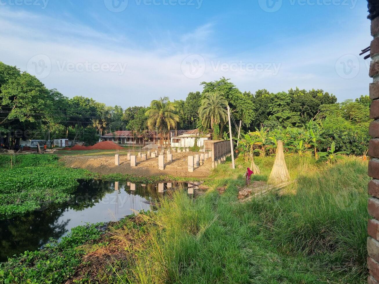 Scenic View of a Pond Surrounded by Lush Greenery photo
