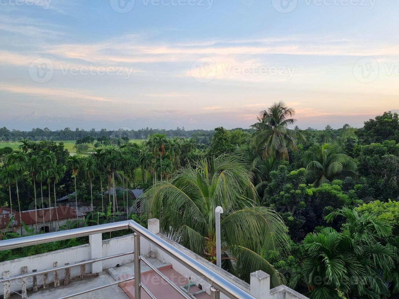 A serene landscape at sunset with lush greenery and palm trees viewed from a rooftop photo