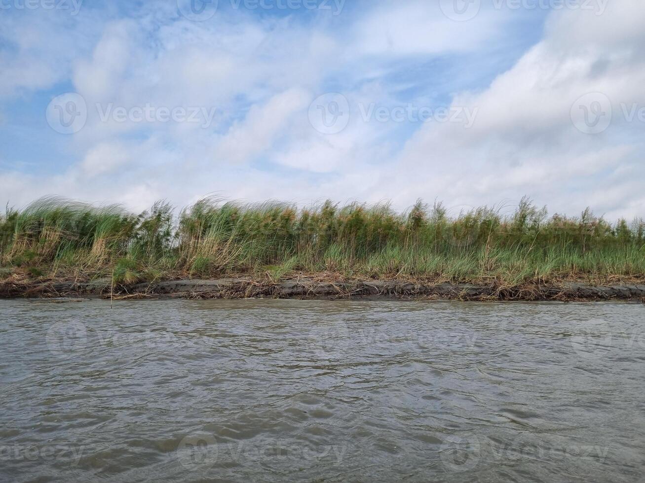 Riverside grass under a cloudy sky photo
