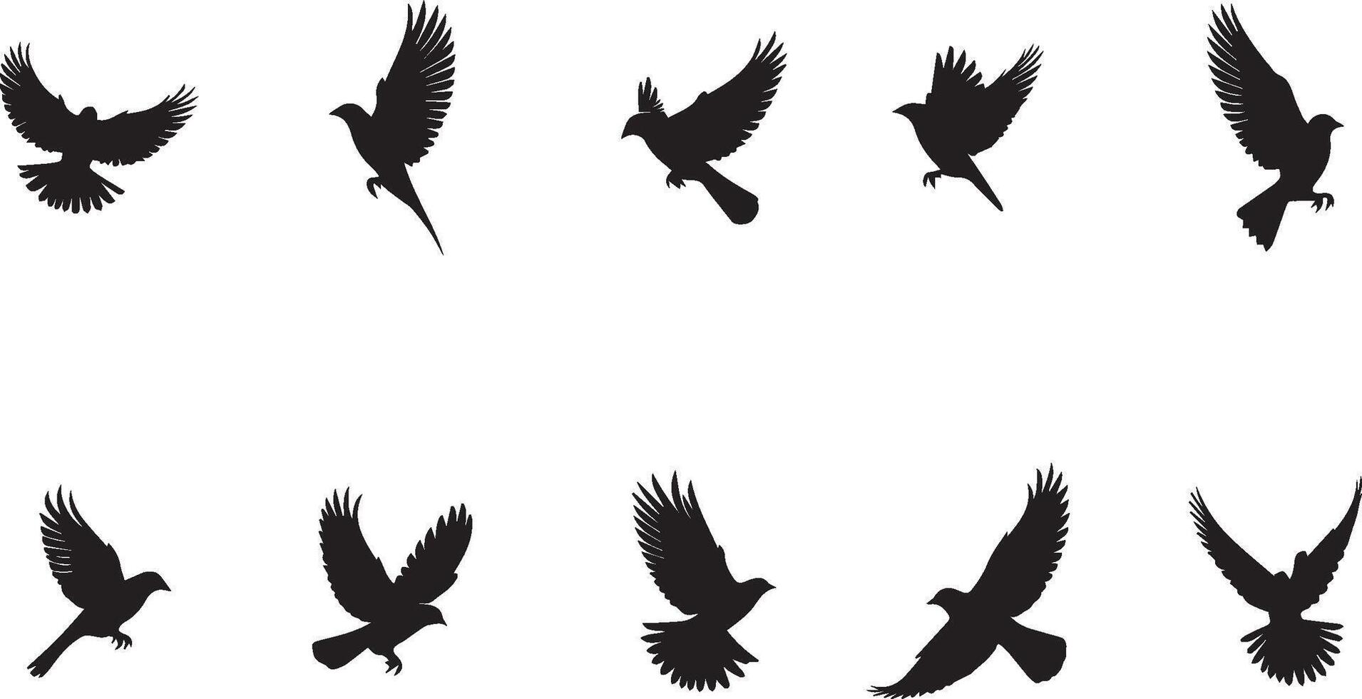 Silhouettes of Birds in Flight with white background vector