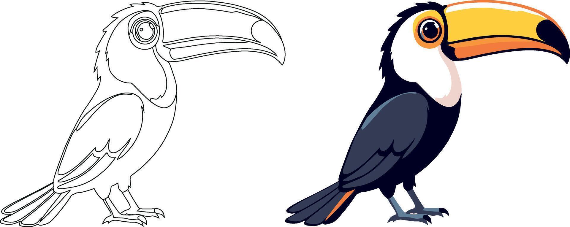 colorful toucan and line art version standing side by side vector