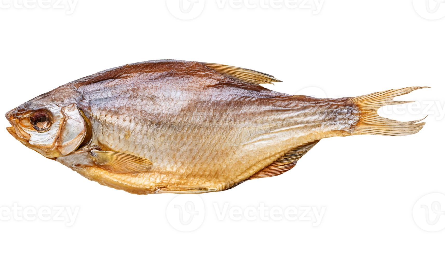 detailed close-up top view of traditional sun-dried fish with natural scales and texture on isolated background for food and rural lifestyle projects png