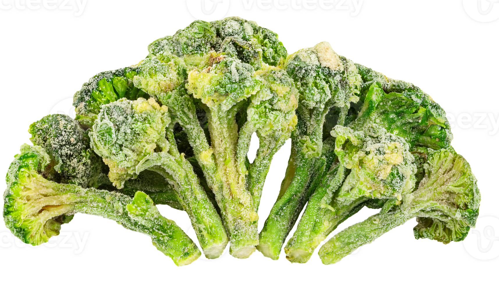 dried broccoli floret texture with vibrant green color and frosted surface on isolated background for healthy food and cooking ingredient png