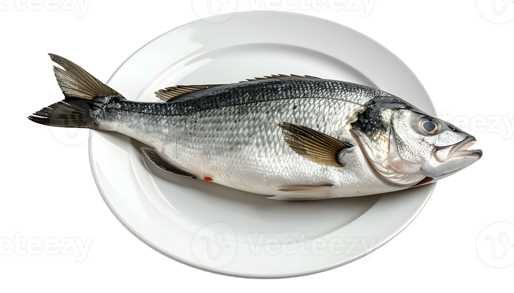 fresh whole raw sea bass fish on white plate on isolated background for seafood cooking and culinary presentation png