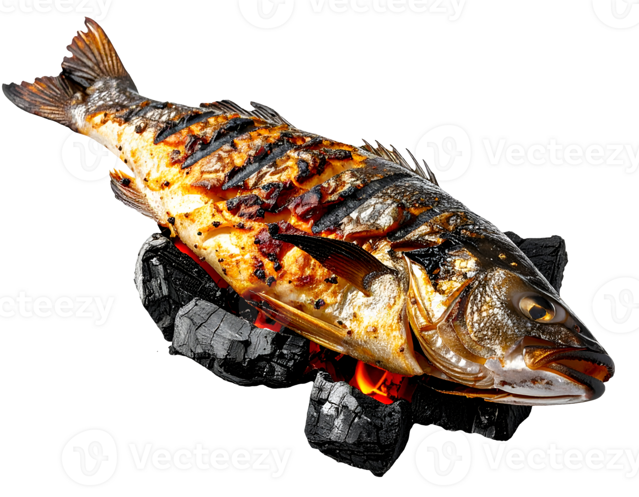 grilled whole fish on hot charcoal with burn marks, traditional barbecue seafood, isolated on black background png