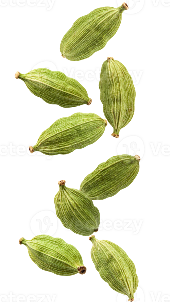 multiple green cardamom pods falling in motion, aromatic spice with ribbed texture on isolated background for culinary and herbal uses png