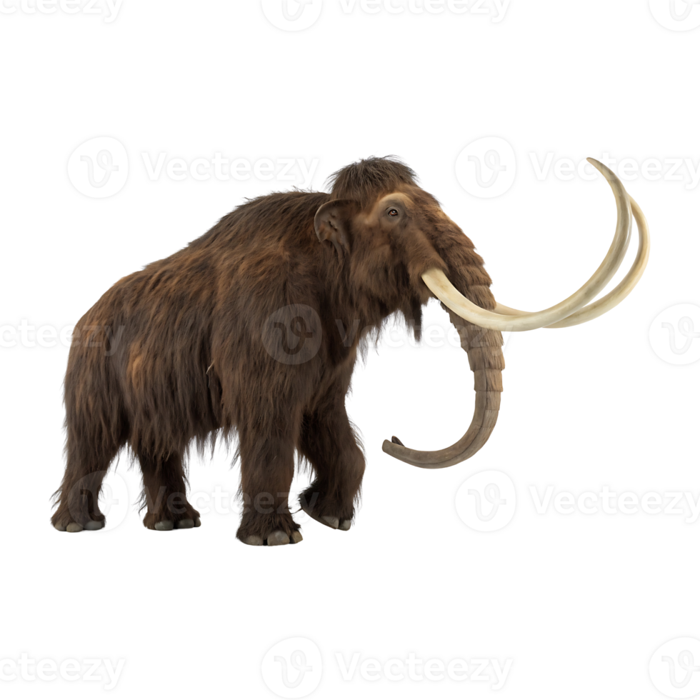Realistic Woolly Mammoth Illustration with Long Curved Tusks and Shaggy Fur png