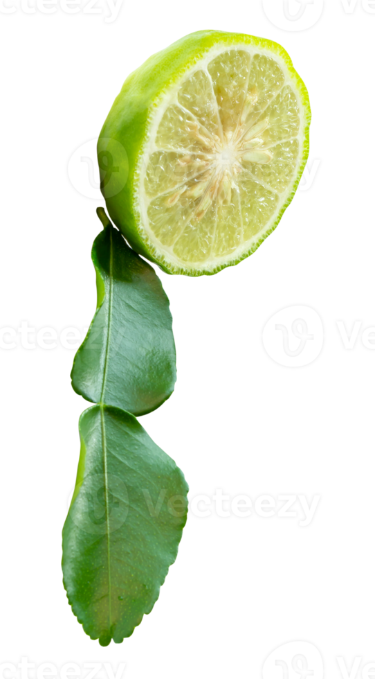 Fresh green bergamot fruits or kaffir lime in one half with green leaf in stack isolated with clipping path in file format png