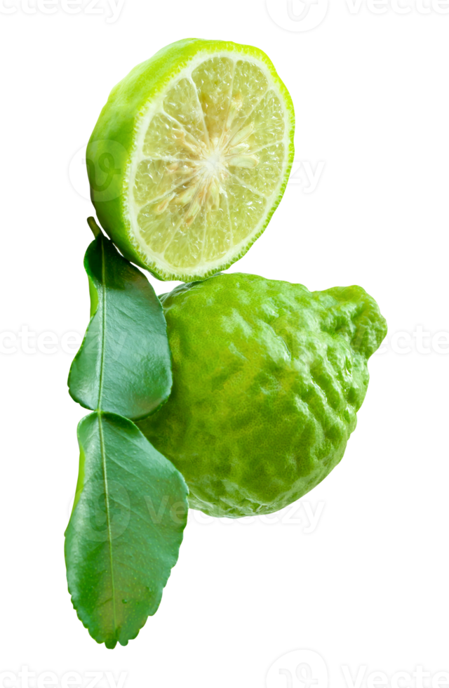 Bergamot fruits or kaffir lime with half and green leaf in stack isolated with clipping path in file format png