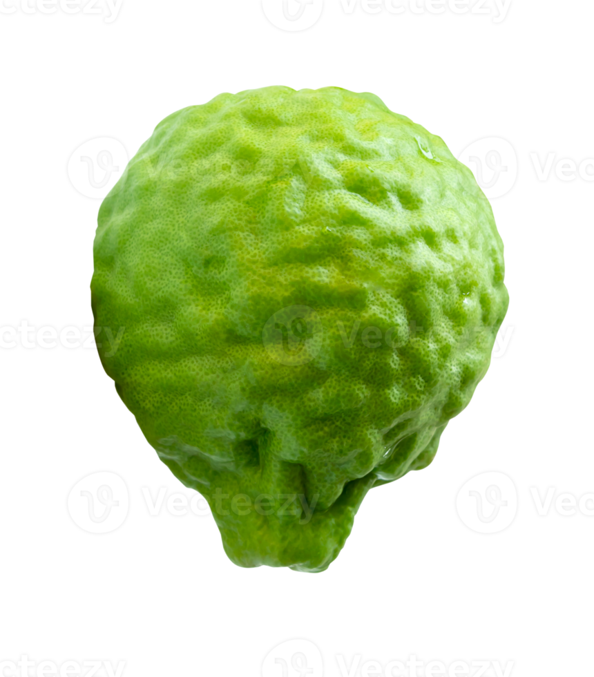 Green bergamot fruit or kaffir lime isolated in file format png