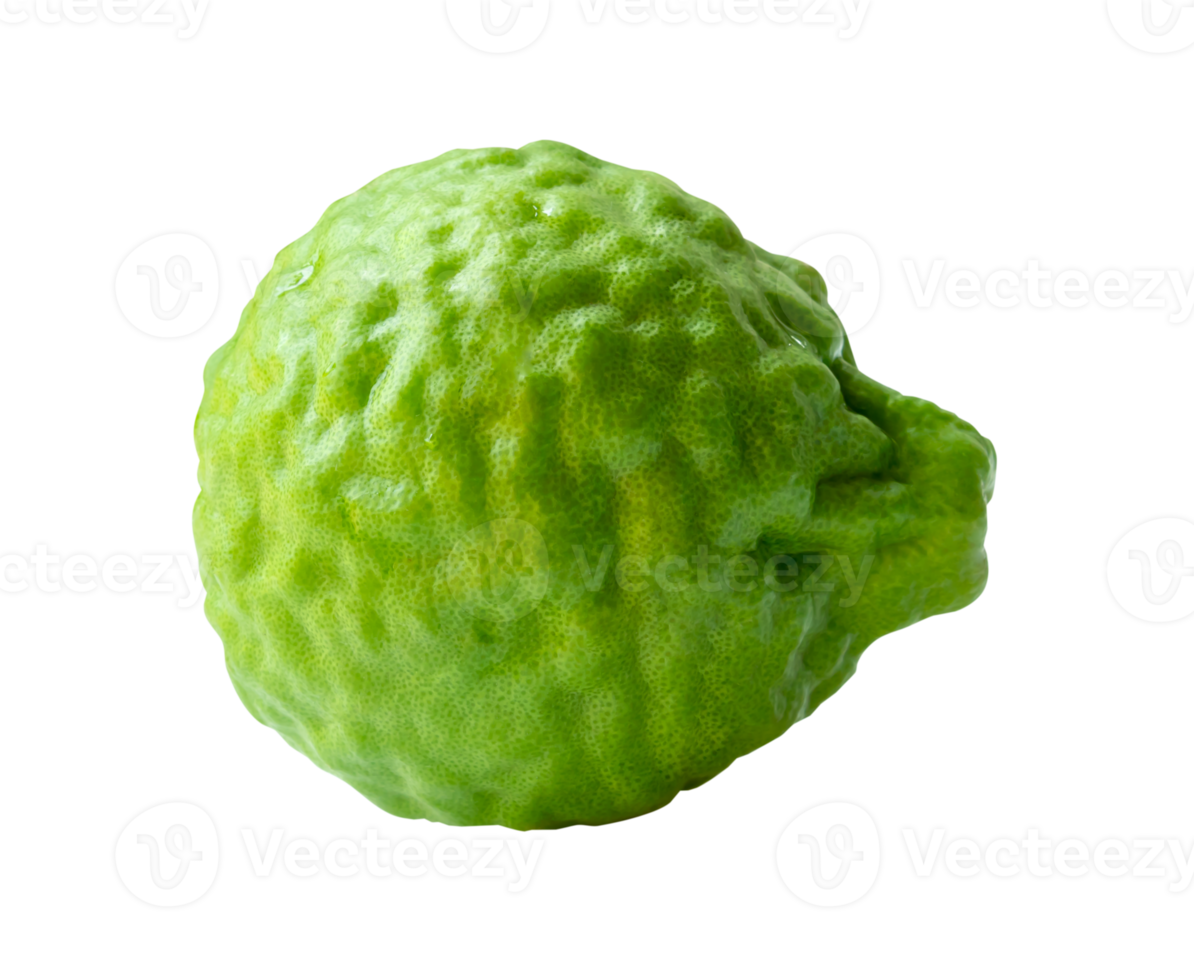 Single fresh green bergamot fruit or kaffir lime isolated in file format png