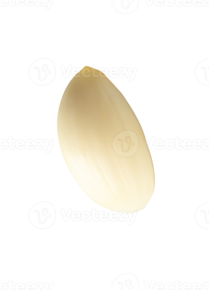 Side view of single peeled garlic clove or piece isolated with clipping path in file format png