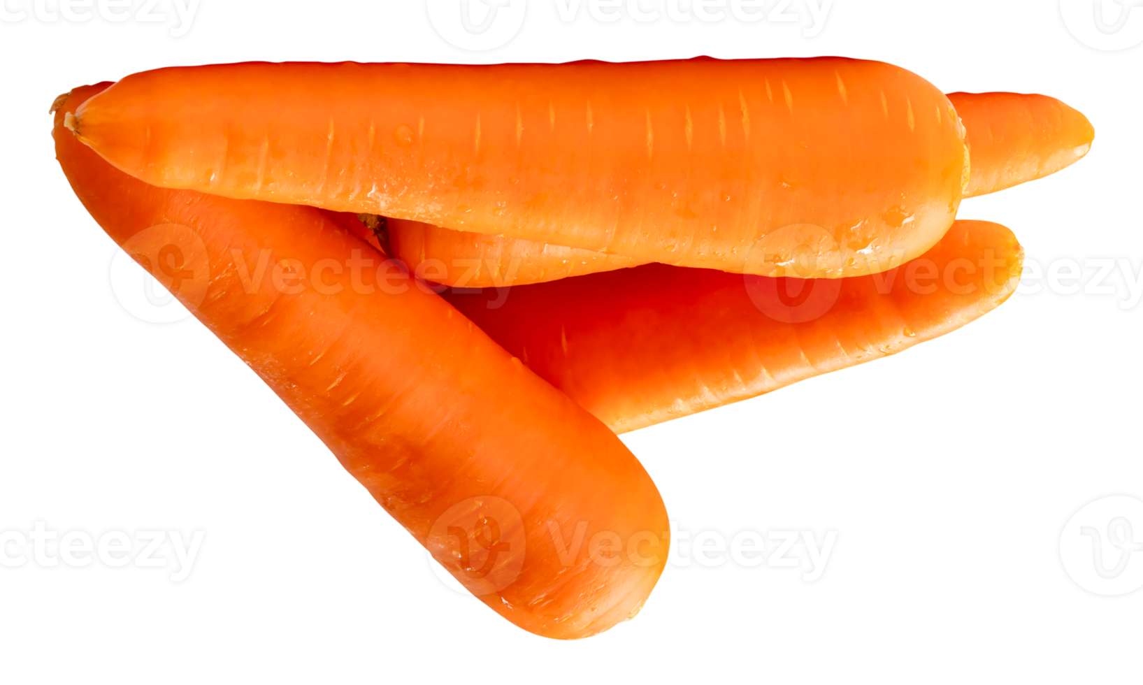 Four fresh orange carrot roots in stack isolated with clipping path in file format png