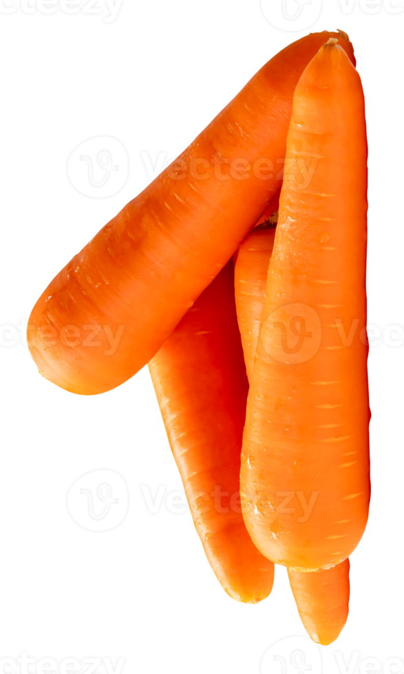 Top view of four fresh orange carrot roots in stack isolated with clipping path in file format png