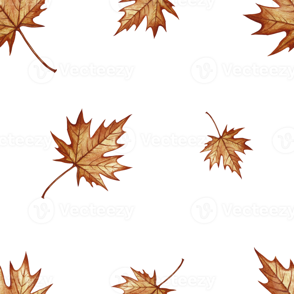 Seamless pattern with autumn maple leaves. Handmade watercolor illustration. Color image. Great for packaging, decor, textiles and wallpaper, for printing, wrapping paper. png