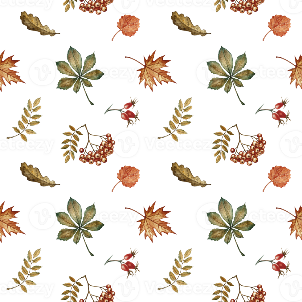 Seamless pattern with different autumn floral elements. Handmade watercolor illustration. Color image. Great for packaging, decor, textiles and wallpaper, for printing and wrapping paper. png