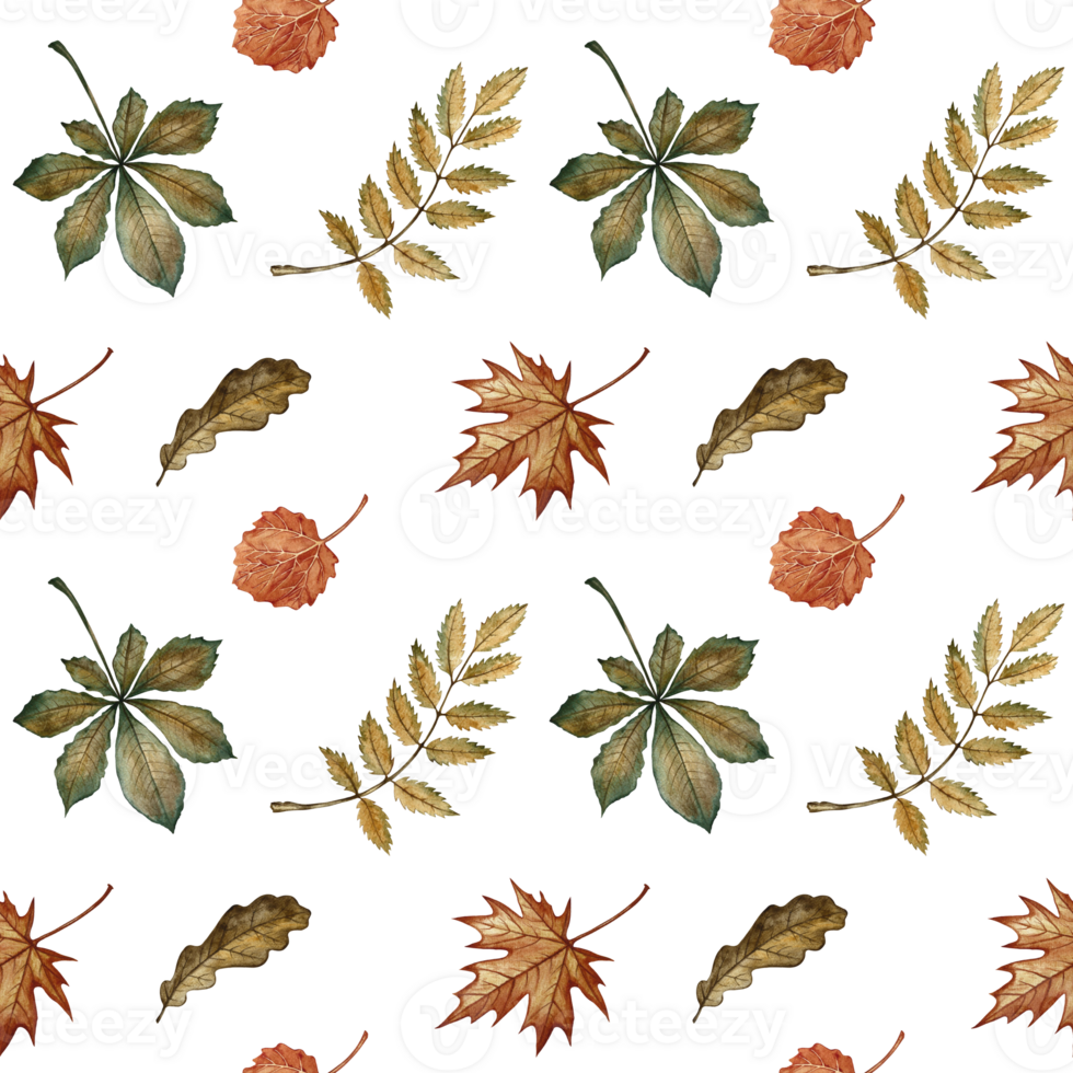 Seamless pattern with different autumn leaves. Handmade watercolor illustration. Color image. Great for packaging, decor, textiles and wallpaper, for printing and wrapping paper png