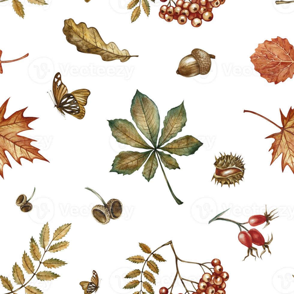 Seamless pattern with different autumn floral elements. Handmade watercolor illustration. Color image. For packaging, decor, textiles and wallpaper, for printing, wrapping paper. png