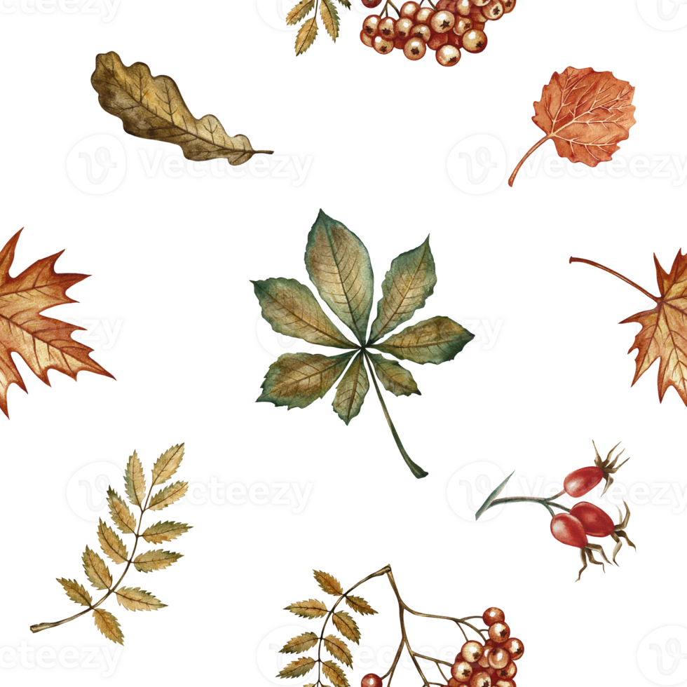 Seamless pattern with different autumn floral elements. Handmade watercolor illustration. Color image. Great for packaging, decor, textiles, wallpaper, for printing and wrapping paper. png