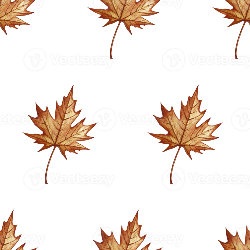 Seamless pattern with autumn maple leaves. Handmade watercolor illustration. Color image. Great for packaging, decor, textiles and wallpaper, for printing and wrapping paper. png