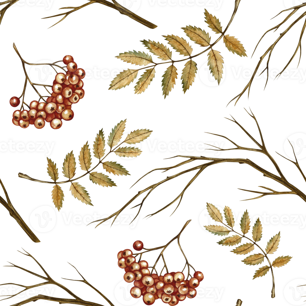Seamless autumn pattern with berries and leaves of mountain ash. Handmade watercolor illustration. color image. For packaging, decor, textiles and wallpaper, printing and wrapping paper. png