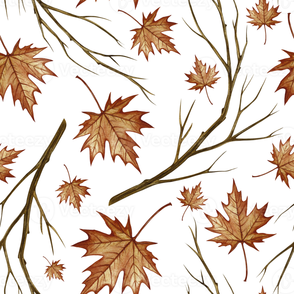 Seamless pattern with autumn maple leaves and branches. Handmade watercolor illustration. Color image. Great for packaging, decor, textiles, wallpaper, for printing and wrapping paper. png