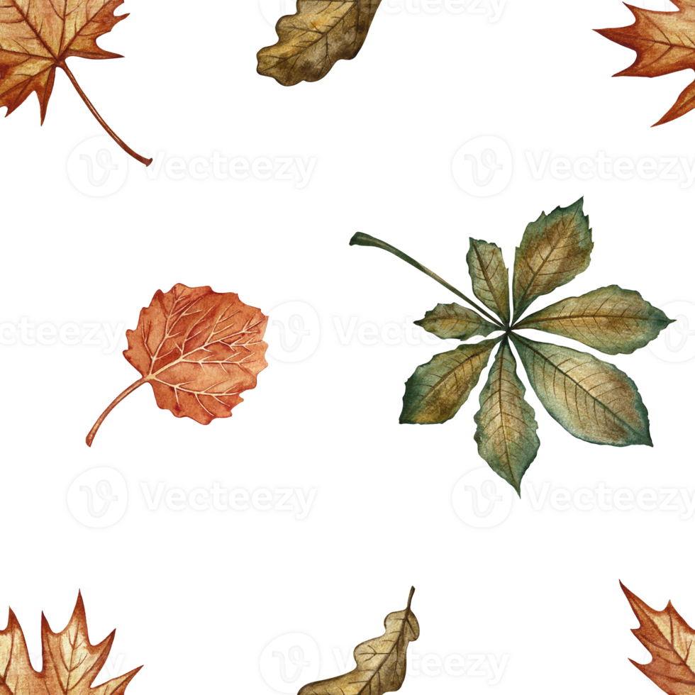 Seamless pattern with different autumn leaves. Handmade watercolor illustration. Color image. Great for packaging, decor, textiles and wallpaper, for printing and wrapping paper. png