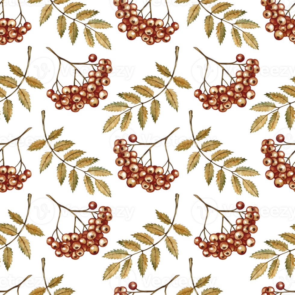 Seamless autumn pattern with berries and leaves of mountain ash. Handmade watercolor illustration. color image. For packaging, decor, textiles, wallpaper, printing and wrapping paper. png