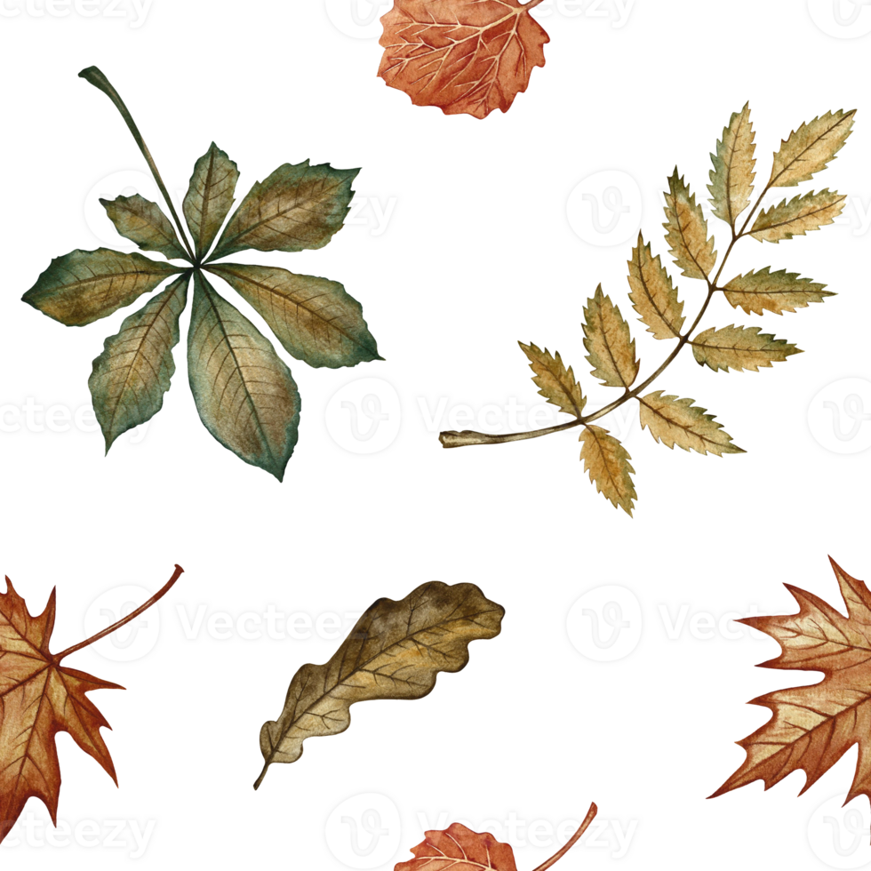 Seamless pattern with different autumn leaves. Handmade watercolor illustration. Color image. Great for packaging, decor, textiles and wallpaper, for printing, wrapping paper. png