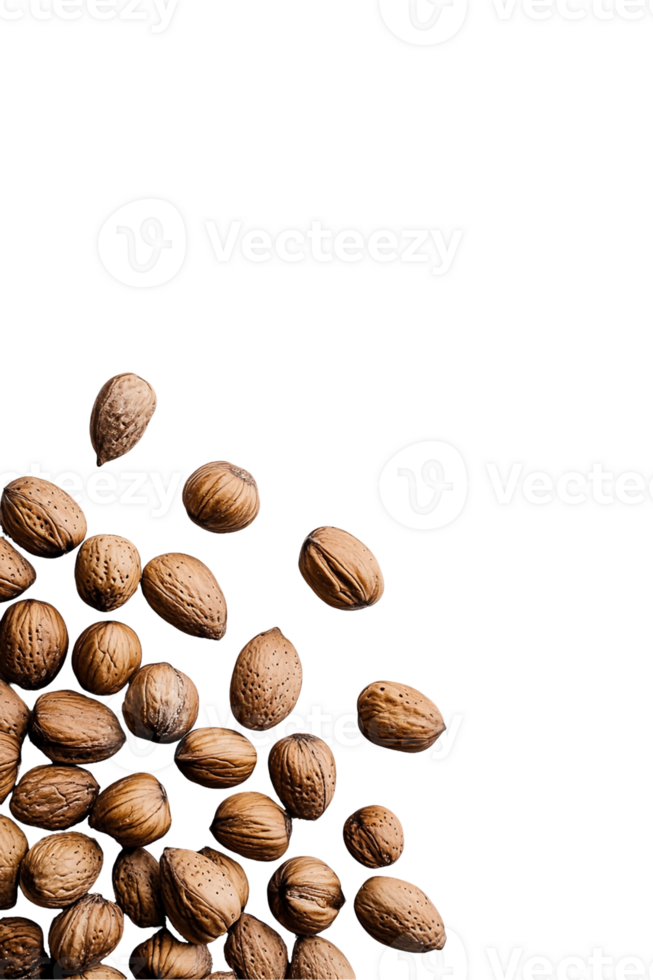 Walnuts Piled Against Black Background png