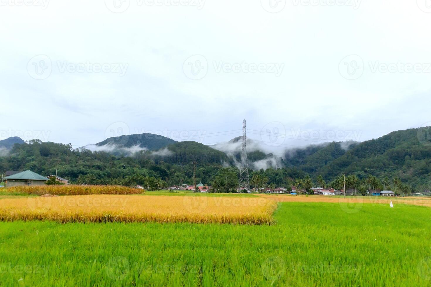 Beautiful view in a village in the morning with rice fields and hills photo