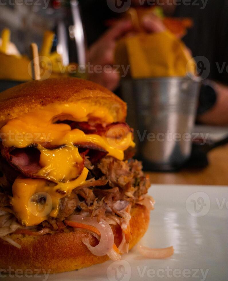 Close-up of a Pulled Pork Burger with Fries photo