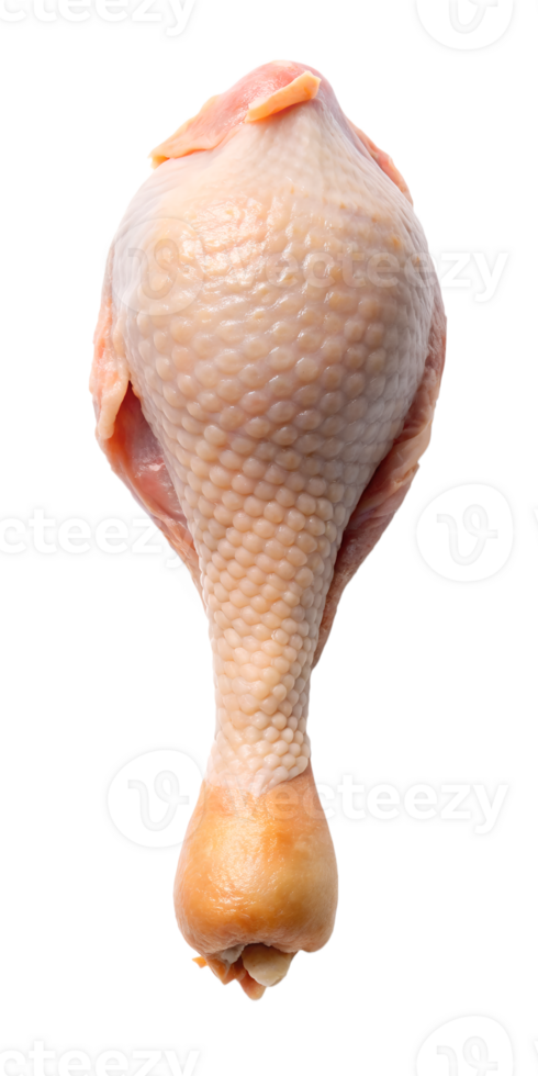 raw chicken leg png