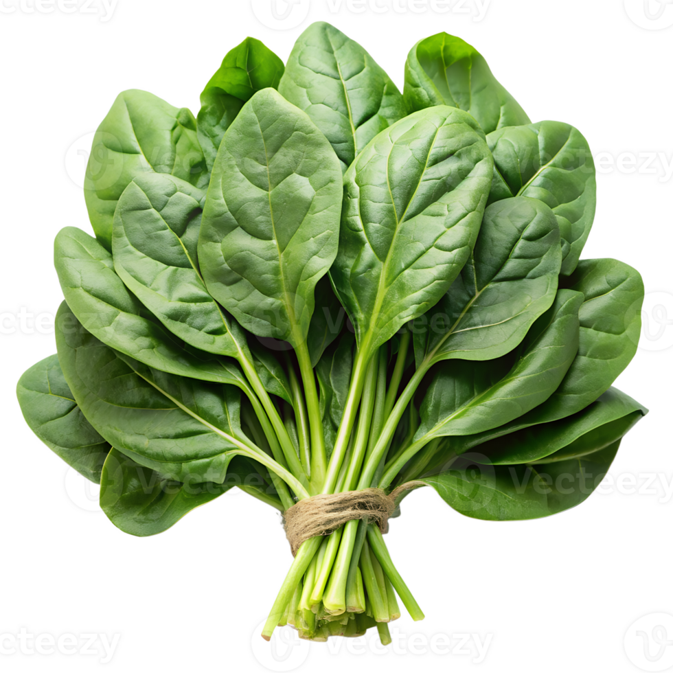 green spinach leaves bundle png